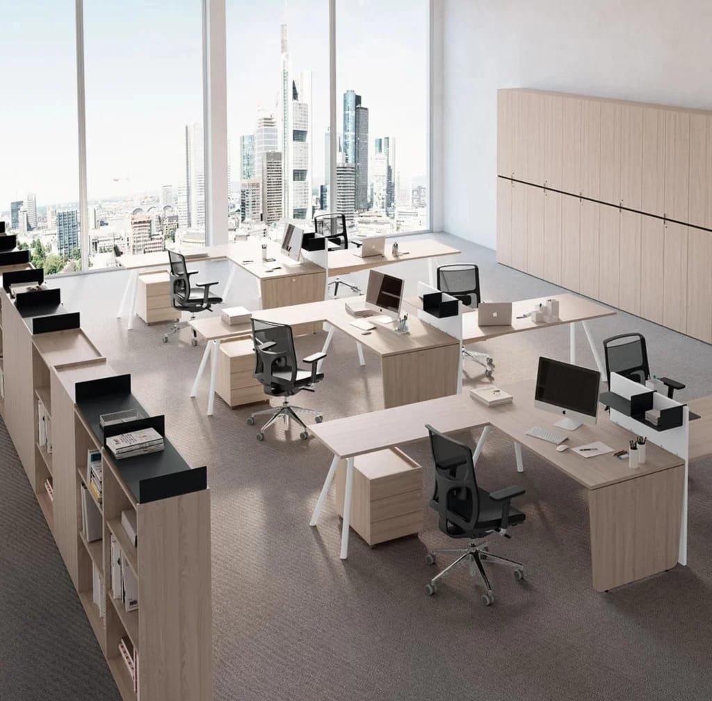 Corporate Workstation Setup